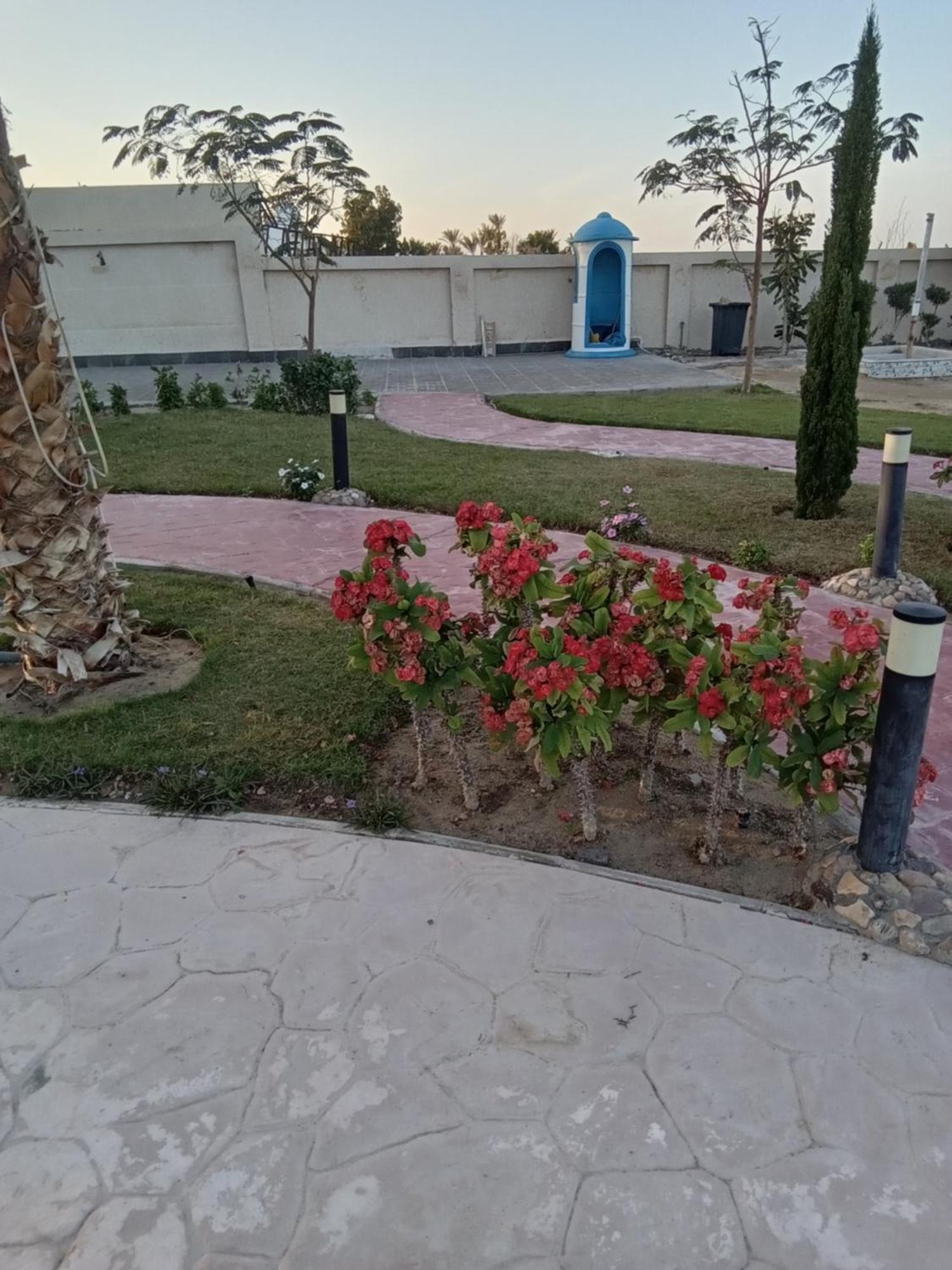 Aparthotel Casablanca Beach For Families And Couples Only Hurghada Zewnętrze zdjęcie